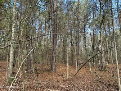 Discover 39.7+- surveyed acres in Brookhaven, Mississippi - photo 8