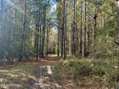 Discover 39.7+- surveyed acres in Brookhaven, Mississippi - photo 9