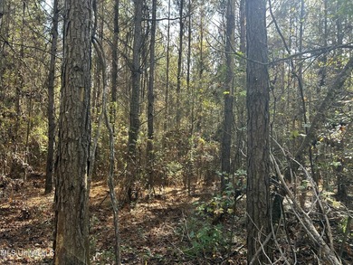 Discover 39.7+- surveyed acres in Brookhaven, Mississippi - photo 10
