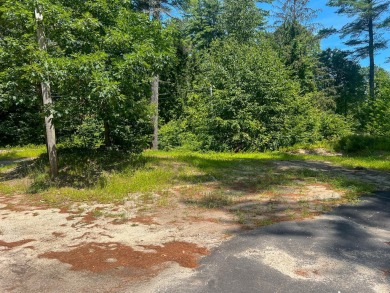 Lake Lot For Sale in Raymond, Maine