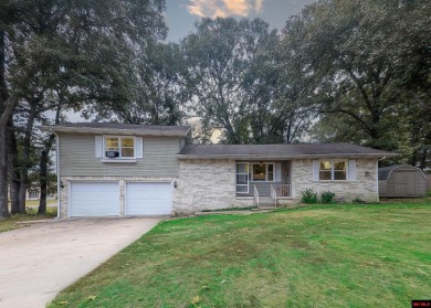 Driftwood Lake Home For Sale in Mountain Home Arkansas