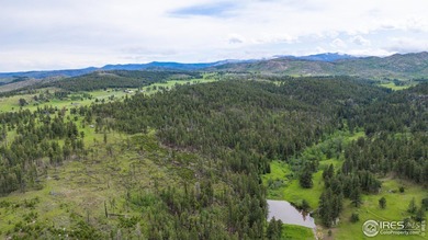 (private lake, pond, creek) Acreage For Sale in Bellvue Colorado