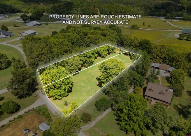 Lake Lot For Sale in Cotter, Arkansas