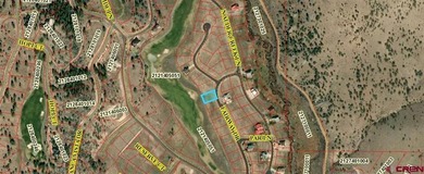 Trisha Taylor, RE/MAX Pinnacle, C:,,: Golf Course lifestyle at - photo 12