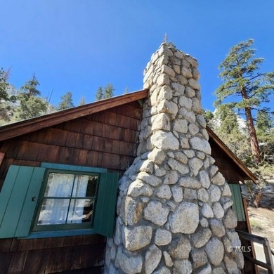 Rare opportunity to own a Forest Service recreational residence - photo 24