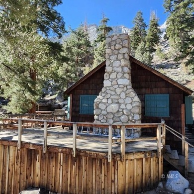Rare opportunity to own a Forest Service recreational residence - photo 30