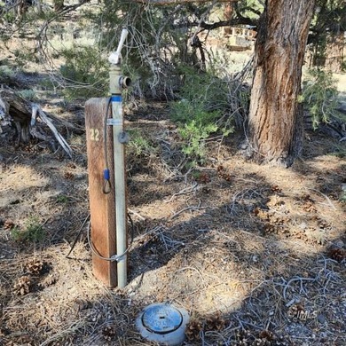 Rare opportunity to own a Forest Service recreational residence - photo 31