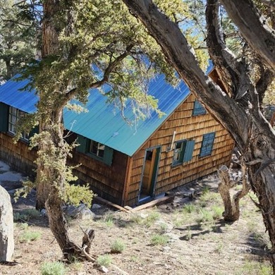 Rare opportunity to own a Forest Service recreational residence - photo 33