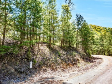 2.99 Acre Dockable Cherokee Lakefront Lot in Gated Community - photo 7