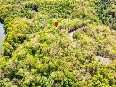 2.99 Acre Dockable Cherokee Lakefront Lot in Gated Community - photo 23