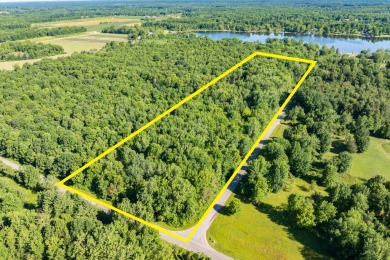 South Scott Lake  Acreage For Sale in Bangor Michigan