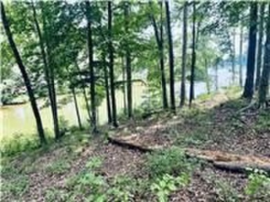 Lake Lot For Sale in Abbeville, South Carolina