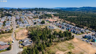 Take advantage of this rare opportunity to own a 0.09-acre - photo 11