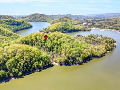 2.99 Acre Dockable Cherokee Lakefront Lot in Gated Community - photo 4