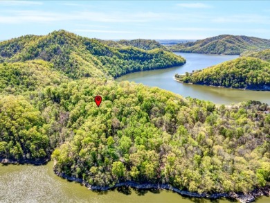 2.99 Acre Dockable Cherokee Lakefront Lot in Gated Community - photo 5