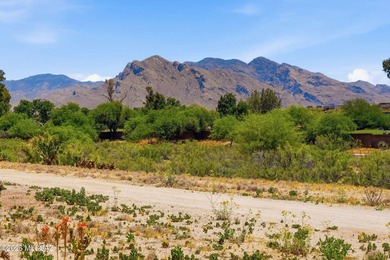 Nestled within the coveted Casas Del Oro Norte community at - photo 38