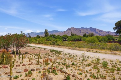 Nestled within the coveted Casas Del Oro Norte community at - photo 43