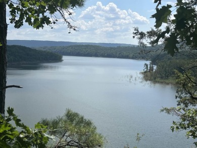 Lake Acreage For Sale in Shirley, Arkansas