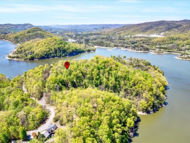 2.99 Acre Dockable Cherokee Lakefront Lot in Gated Community - photo 3