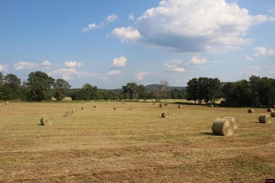 This is IT! This rare property checks all the boxes for the - photo 9