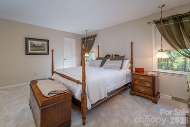 Welcome to a beautifully maintained Connestee Falls home - photo 12