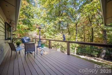 Welcome to a beautifully maintained Connestee Falls home - photo 19