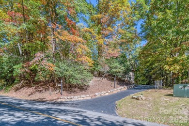 Welcome to a beautifully maintained Connestee Falls home - photo 25