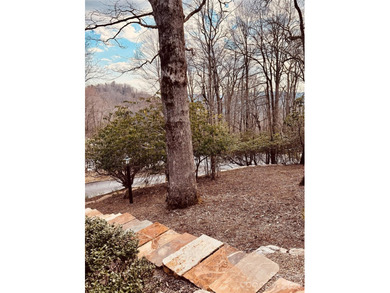 Welcome to a beautifully maintained Connestee Falls home - photo 27