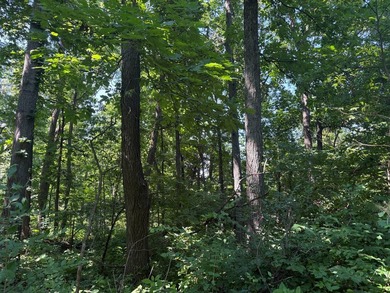 Located at 8891 E 390 S, Carbon, IN 47837, this exceptional - photo 31