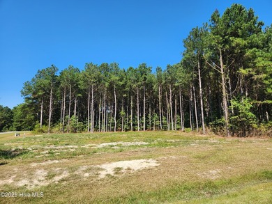 Corner lot in Riversound!! Just under 3 acres. Discover your - photo 2