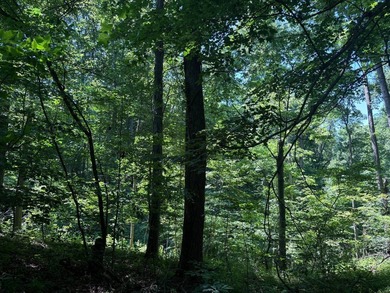 Located at 8891 E 390 S, Carbon, IN 47837, this exceptional - photo 33