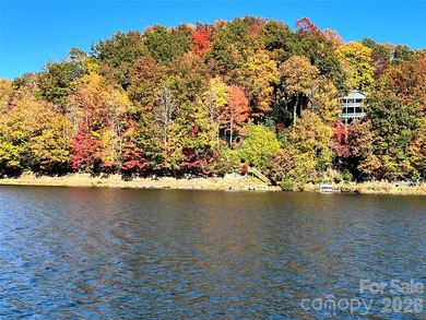 Welcome to a beautifully maintained Connestee Falls home - photo 34