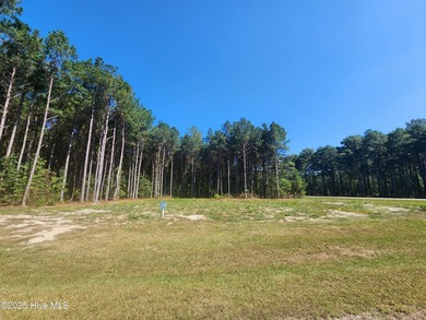 Corner lot in Riversound!! Just under 3 acres. Discover your - photo 4