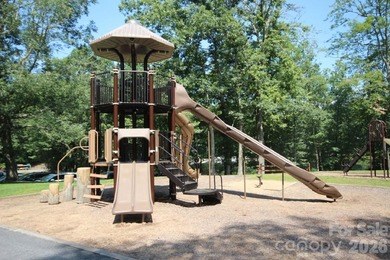 Welcome to a beautifully maintained Connestee Falls home - photo 36
