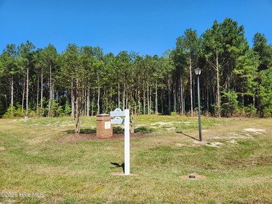 Corner lot in Riversound!! Just under 3 acres. Discover your - photo 10