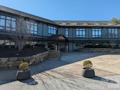 Welcome to a beautifully maintained Connestee Falls home - photo 41