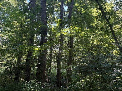 Located at 8891 E 390 S, Carbon, IN 47837, this exceptional - photo 50