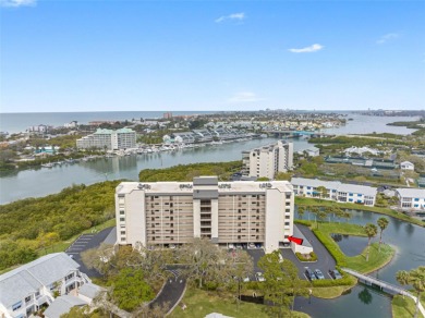 (private lake, pond, creek) Condo For Sale in Largo Florida