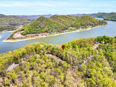 2.99 Acre Dockable Cherokee Lakefront Lot in Gated Community - photo 9