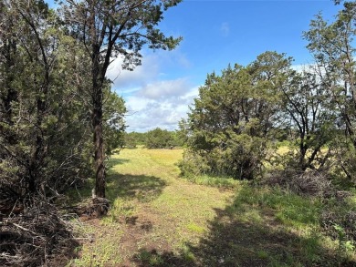 Five beautiful and secluded acres at the magnificent Hills Above - photo 7