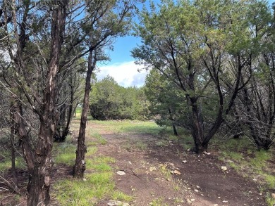 Five beautiful and secluded acres at the magnificent Hills Above - photo 9