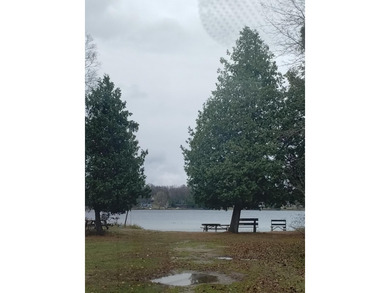 Beaver Lake Lot For Sale in Lachine Michigan