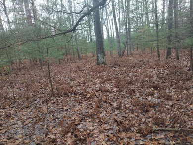 Nice gently sloping toward the road, with many newer homes in - photo 2