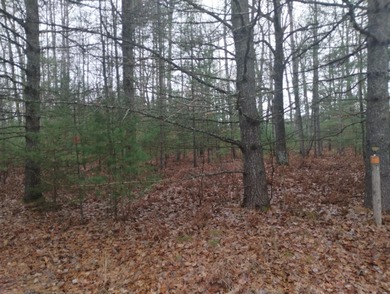 Nice gently sloping toward the road, with many newer homes in - photo 4
