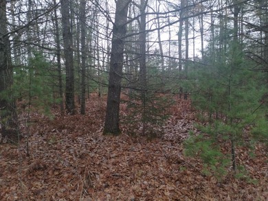 Nice gently sloping toward the road, with many newer homes in - photo 6
