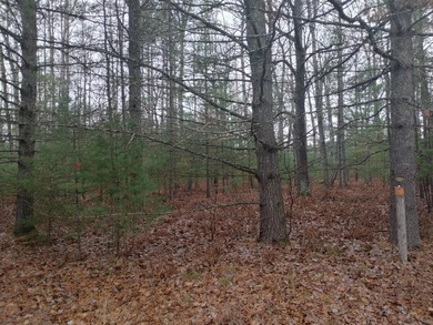 Nice gently sloping toward the road, with many newer homes in - photo 7