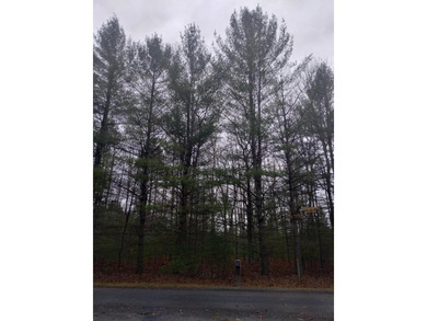 Nice gently sloping toward the road, with many newer homes in - photo 8