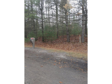 Nice gently sloping toward the road, with many newer homes in - photo 9