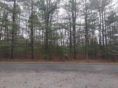 Nice gently sloping toward the road, with many newer homes in - photo 10