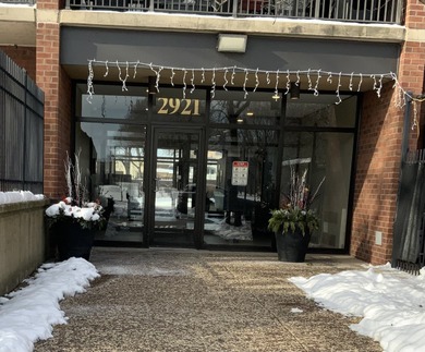 Lake Michigan - Cook County Condo For Sale in Chicago Illinois